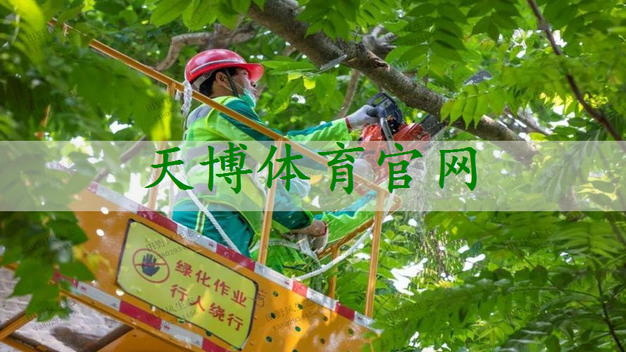 城环学术｜拔尖计划成果展示-贾辰婕-2020级