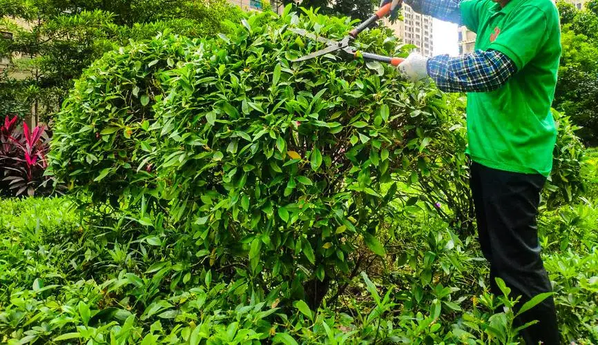 古典园林景观设计实例
