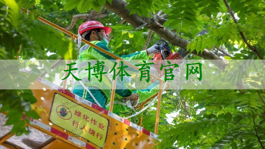 人工灌溉对于园林植物生长的影响与管理方法